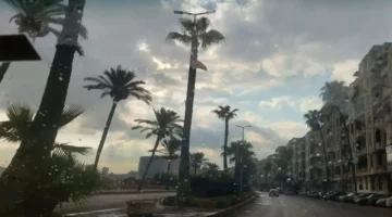 كتل ضبابية كثيفة.. الأرصاد تحذر من صقيع يهدد سلامة المحاصيل الزراعية اليوم